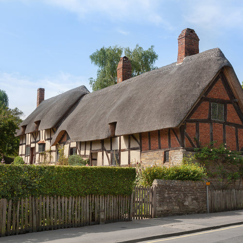 Thatched House: A Dream Home or a Demanding Dwelling?