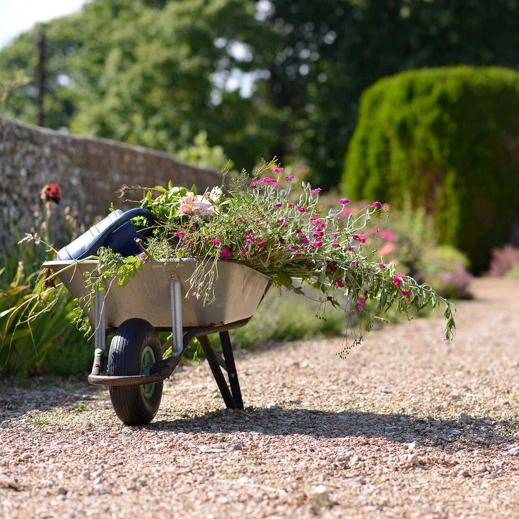 DIGGING INTO WELLNESS: THE ABUNDANT HEALTH BENEFITS OF GARDENING