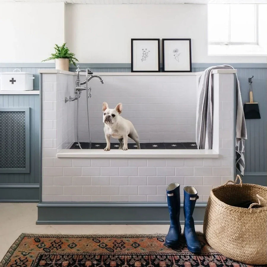 Unleashing Your Inner Pet Architect: Interiors and Joinery Ideas for Dogs and Cats