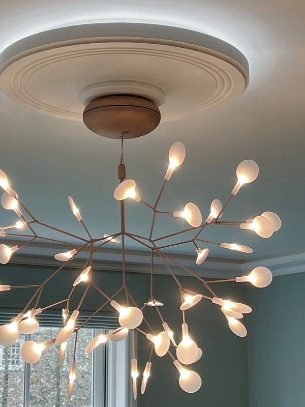 Andover - a bespoke ceiling rose with dimmable recessed LED lighting is the perfect base for this super-pretty moooi Heracleum III Suspended light